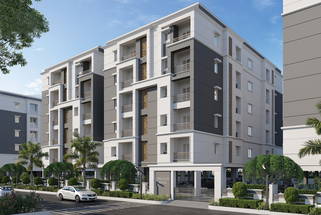 Greater Infras Daffodil