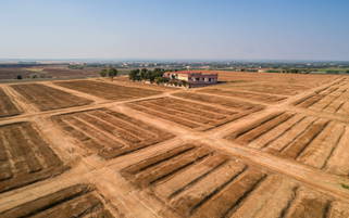 Phoenix Luxury Park 1